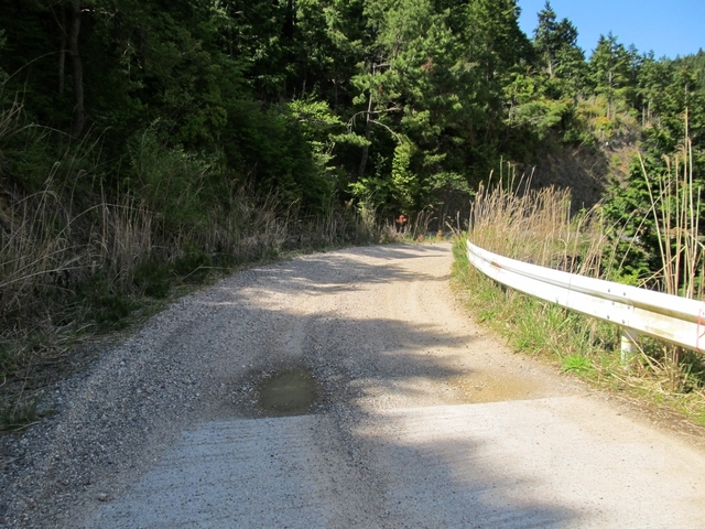 t10_222.jpg
