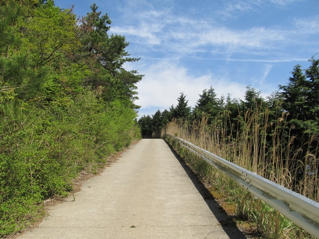 t10_224.jpg