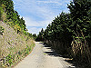 t10_225_thumb.jpg