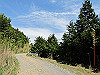 t10_226_thumb.jpg