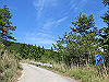 t10_228_thumb.jpg