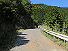 t10_229_thumb.jpg