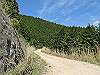 t10_230_thumb.jpg