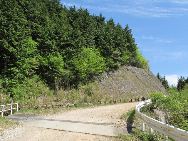 t10_231.jpg
