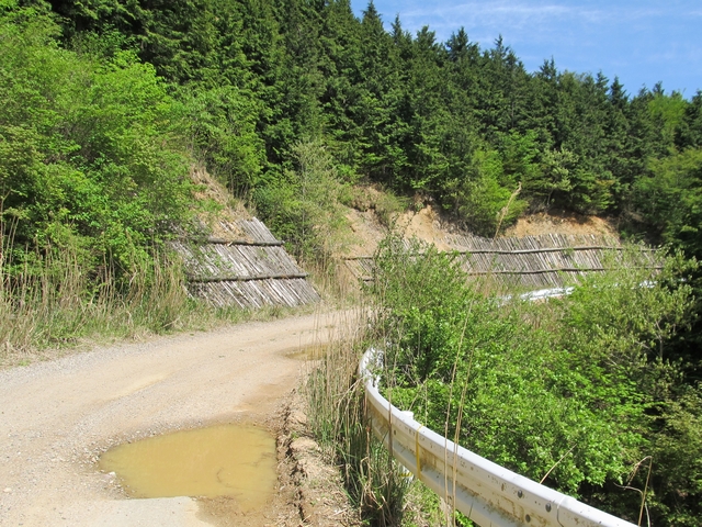 t10_232.jpg