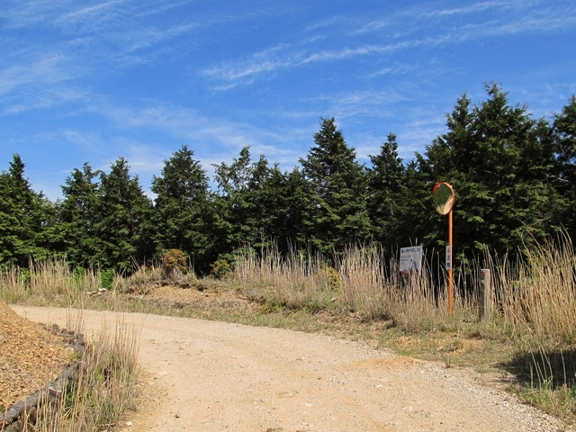 t10_234.jpg