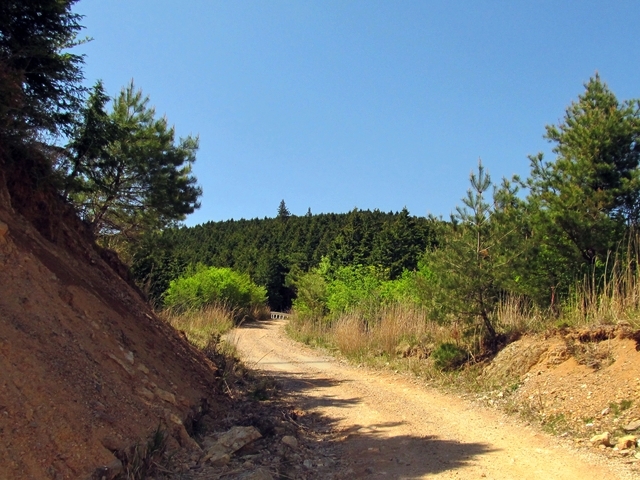 t10_235.jpg