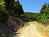 t10_236_thumb.jpg