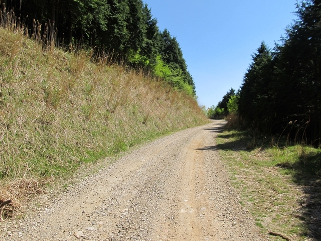 t10_237.jpg
