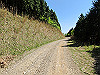 t10_237_thumb.jpg