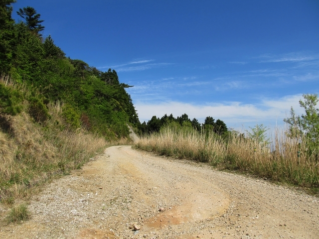 t10_238.jpg