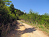 t10_240_thumb.jpg