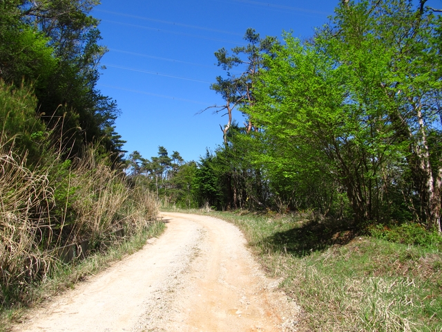 t10_241.jpg