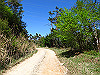 t10_241_thumb.jpg