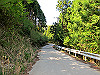 t10_243_thumb.jpg