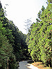 t10_244_thumb.jpg