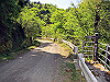 t10_245_thumb.jpg
