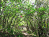 t10_253_thumb.jpg