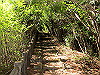 t10_257_thumb.jpg