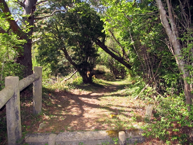 t10_258.jpg
