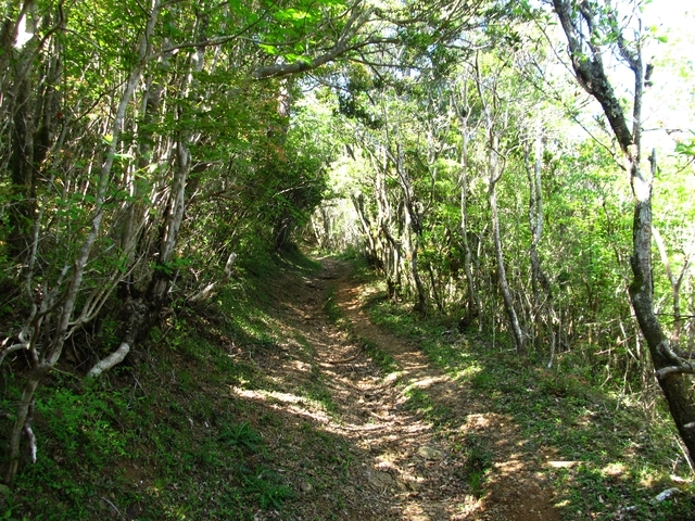 t10_261.jpg