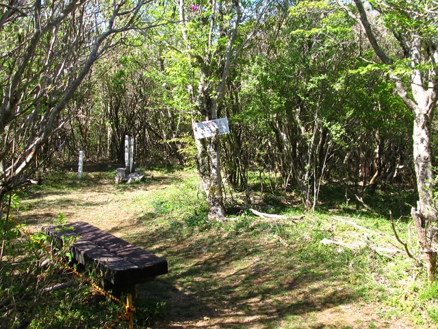 t10_267.jpg