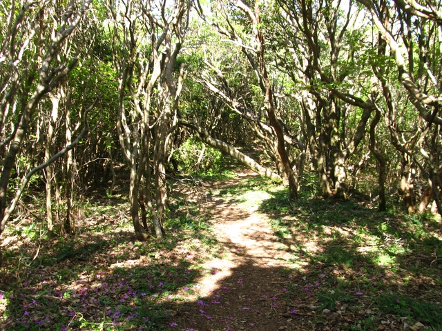t10_269.jpg