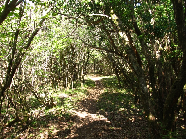 t10_270.jpg