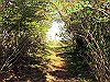 t10_275_thumb.jpg