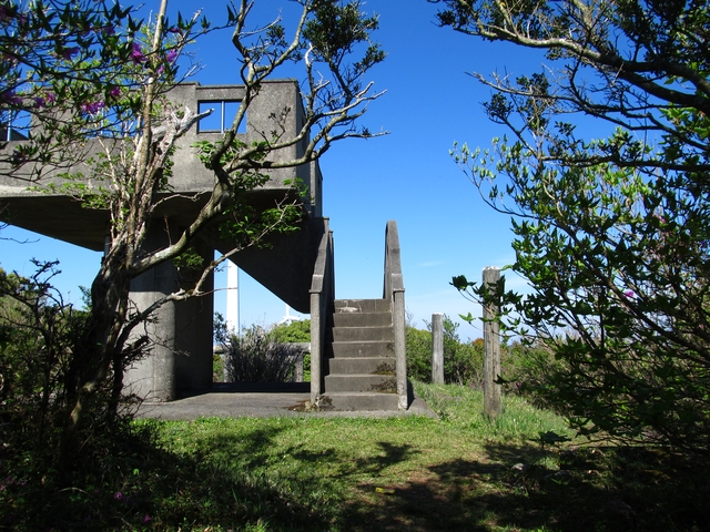t10_276.jpg