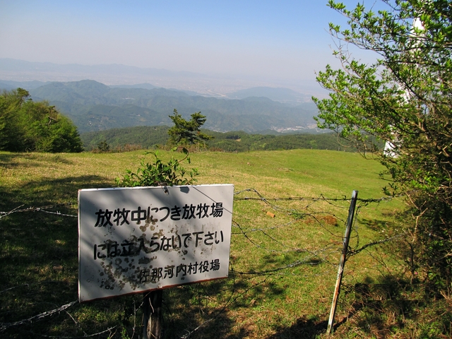 t10_281.jpg