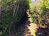 t10_285_thumb.jpg