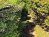 t10_286_thumb.jpg