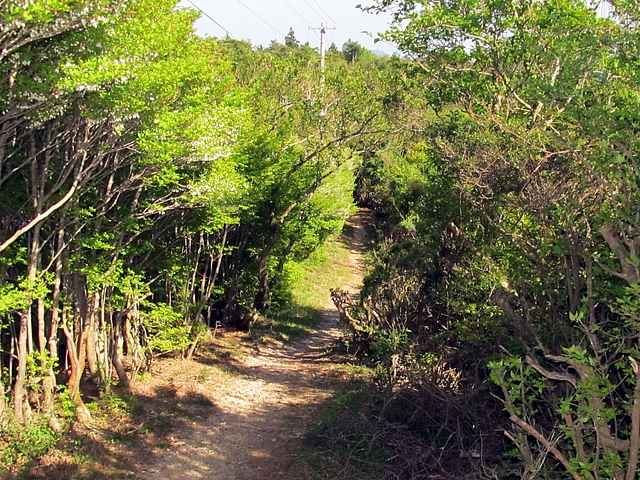 t10_290.jpg