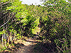 t10_290_thumb.jpg