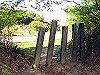 t10_292_thumb.jpg