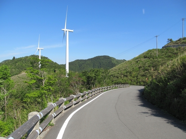 t10_306.jpg