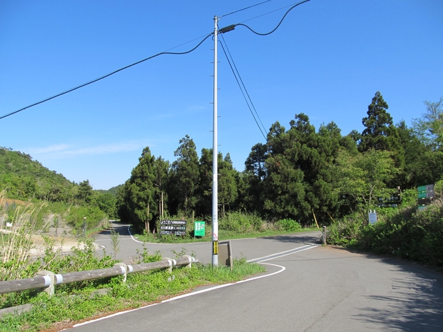 t10_309.jpg