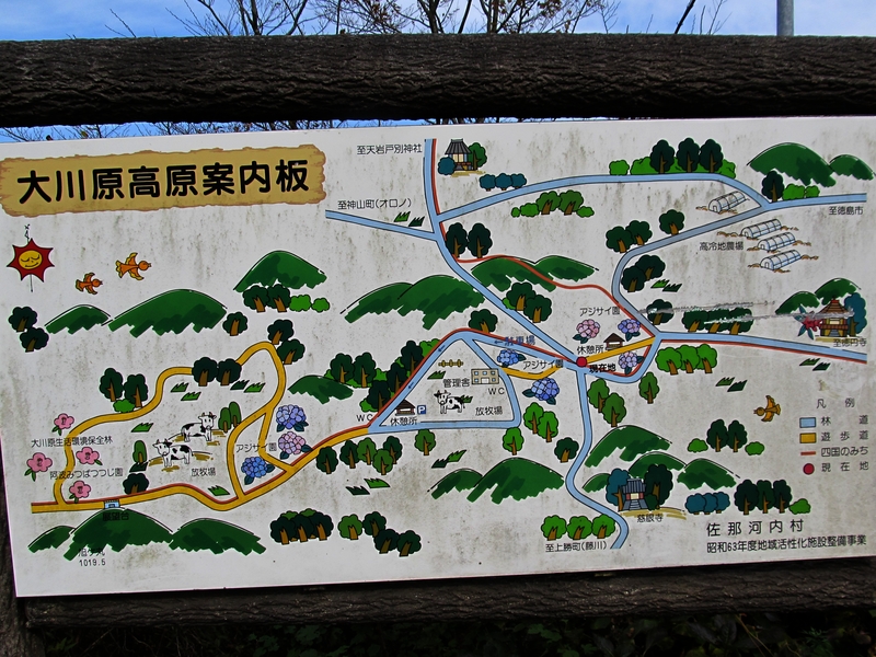 t10_310.jpg