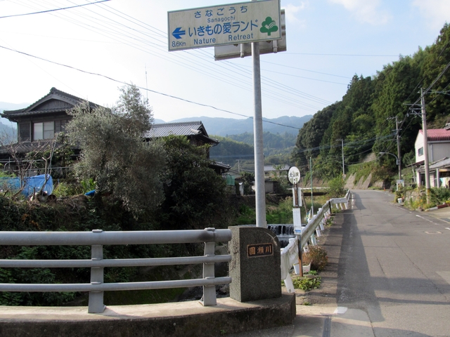 t11_003.jpg