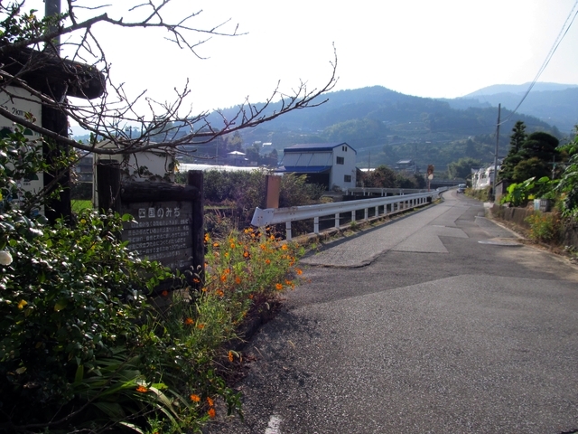 t11_004.jpg