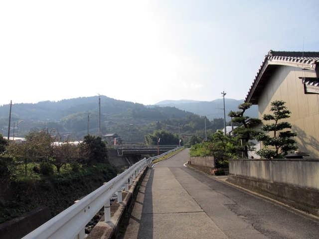 t11_005.jpg