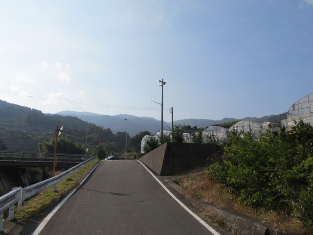 t11_006.jpg