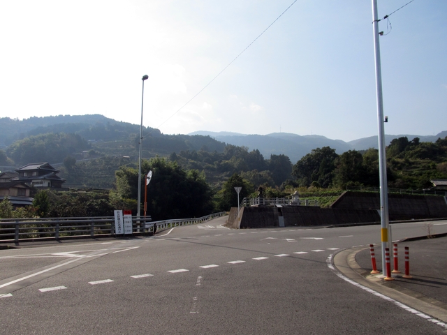 t11_007.jpg