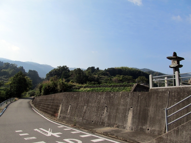 t11_008.jpg