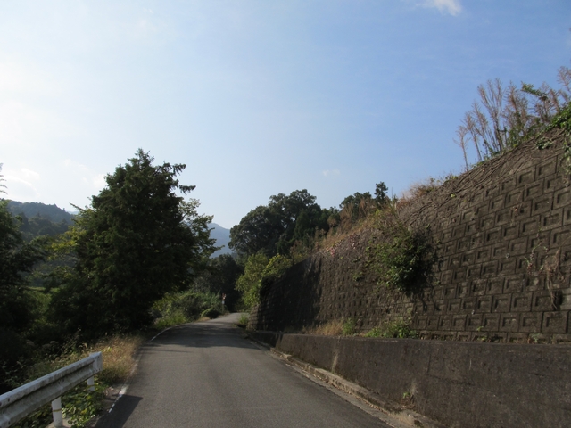 t11_009.jpg