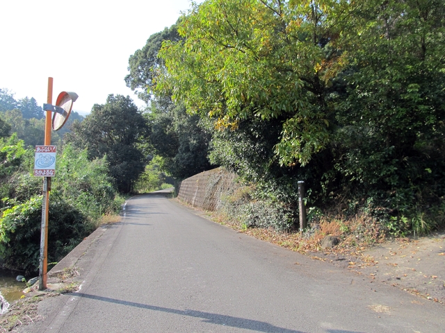 t11_010.jpg
