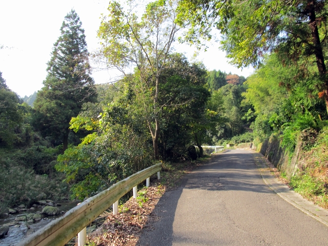 t11_011.jpg