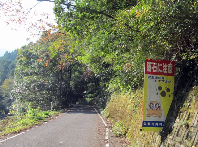 t11_012.jpg