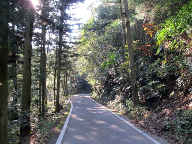 t11_013.jpg